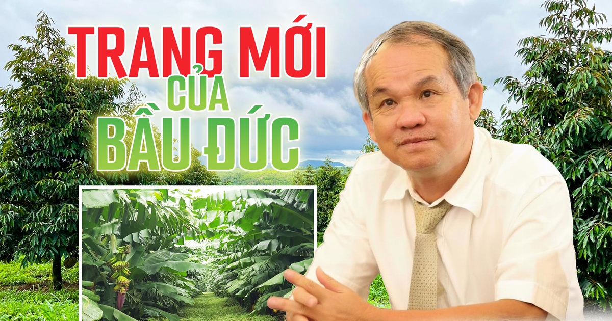 Trang mới của bầu Đức