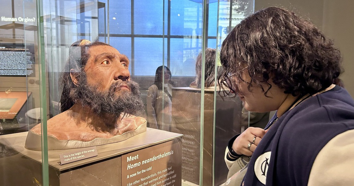 Vai tr&ograve; kỳ lạ của ngộ độc ch&igrave; trong sự thắng thế của tổ ti&ecirc;n lo&agrave;i người