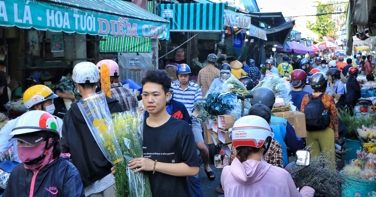 Trước thềm 20.10: Bất ngờ ở chợ hoa lớn nhất TP.HCM, hoa hồng Sophia &#039;ch&aacute;y h&agrave;ng&#039;