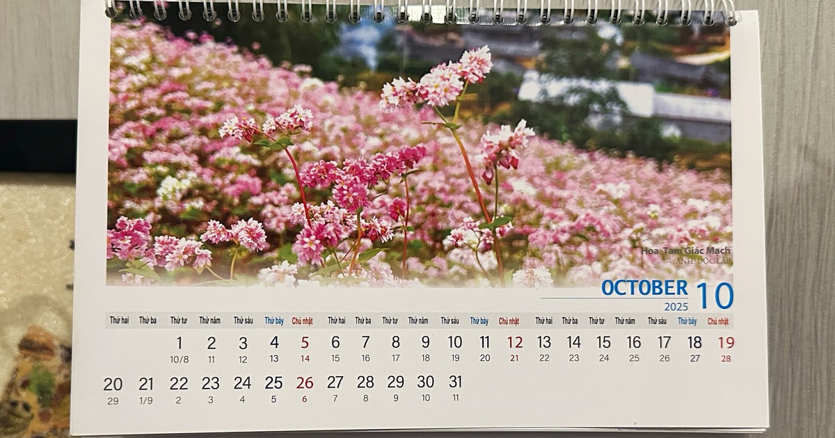 H&ocirc;m nay ng&agrave;y Phụ nữ Việt Nam 20 th&aacute;ng 10: Theo lịch &acirc;m c&oacute; g&igrave; th&uacute; vị?