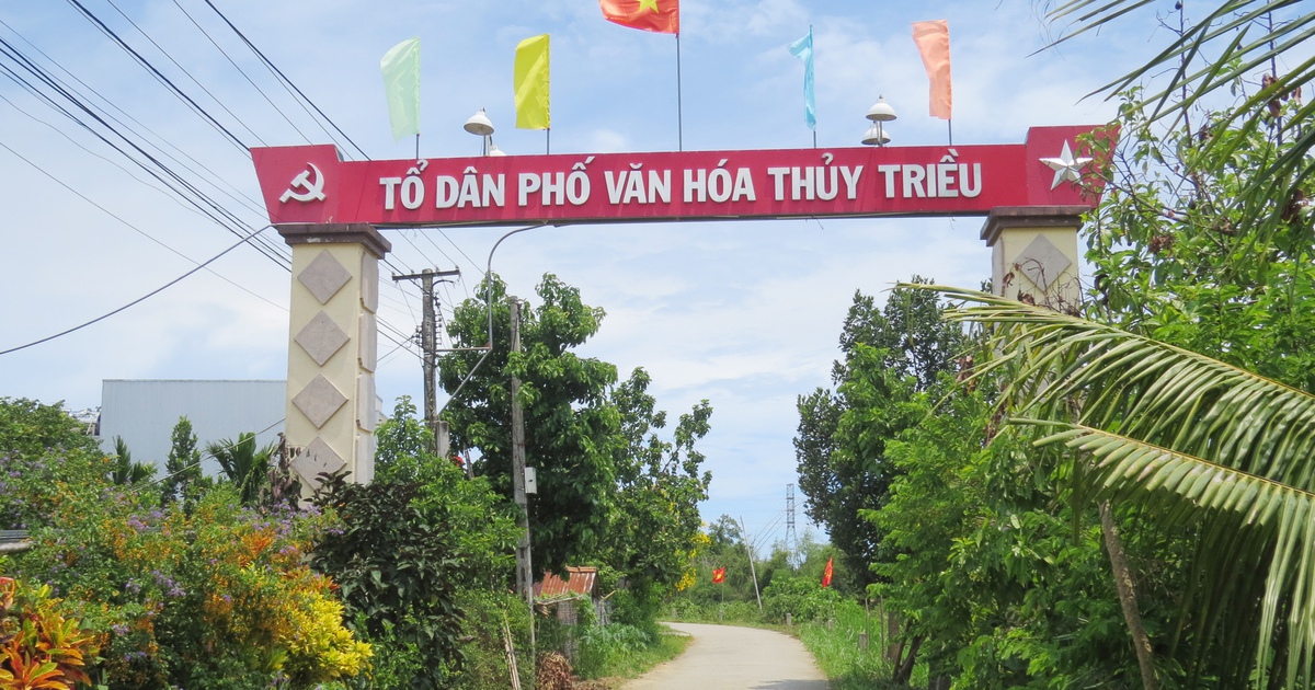 Những câu chuyện thời hoa lửa: Khi chiến thắng thôi thúc lòng người