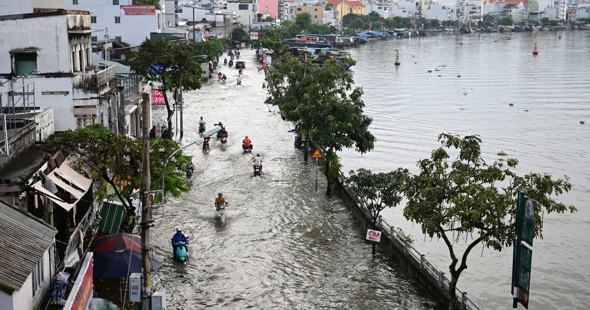 Triều cường ở TP.HCM, Nam bộ vượt lịch sử, ngập nước g&acirc;y thiệt hại nặng nề: V&igrave; sao?