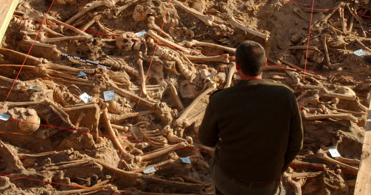 H&eacute; lộ dịch bệnh đ&atilde; t&agrave;n ph&aacute; qu&acirc;n đội của Ho&agrave;ng đế Napoleon