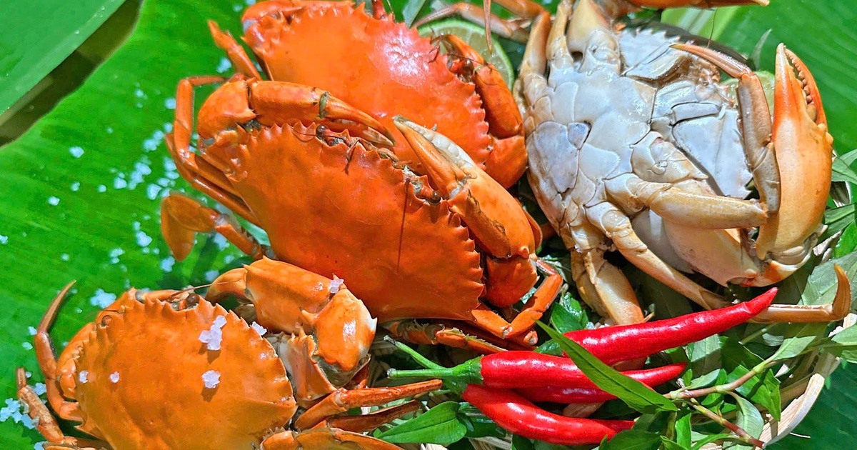 Cua yếm vuông Cà Mau: Đặc sản khiến dân sành ăn 'lơ' luôn cua gạch