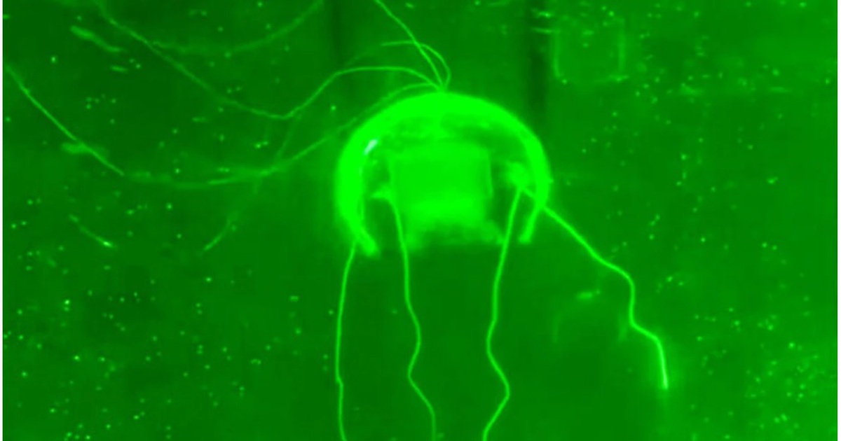 Trung Quốc chế tạo robot &#039;ma&#039; thực hiện nhiệm vụ gi&aacute;m s&aacute;t b&iacute; mật dưới nước