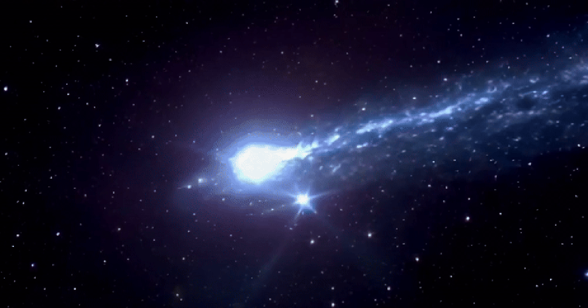 Người Việt xem sao chổi thi&ecirc;n ni&ecirc;n kỷ &#039;cắt qua cổ con rắn vũ trụ&#039; đ&ecirc;m nay