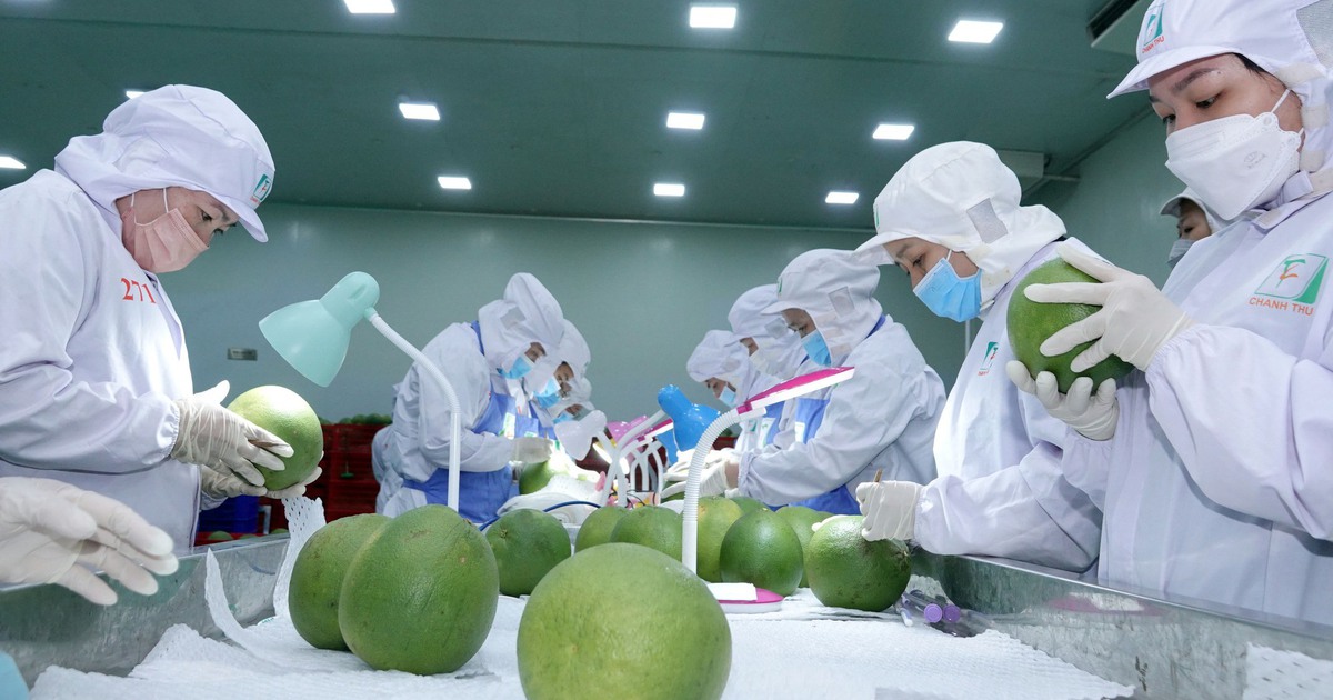 Tin tức đặc biệt tr&ecirc;n b&aacute;o in Thanh Ni&ecirc;n 28.10.2025