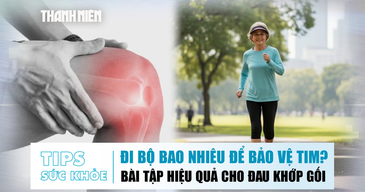 Bản tin sức khỏe ngày 29.10: Nên đi bộ bao nhiêu để bảo vệ tim? | Bài tập hiệu quả cho đau khớp gối