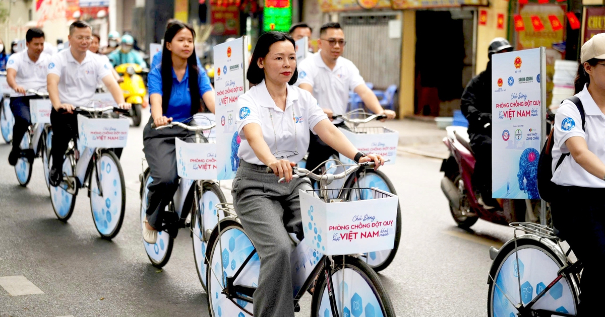 Long Ch&acirc;u phối hợp Bộ Y tế triển khai chương tr&igrave;nh quốc gia về ph&ograve;ng v&agrave; quản l&yacute; đột quỵ