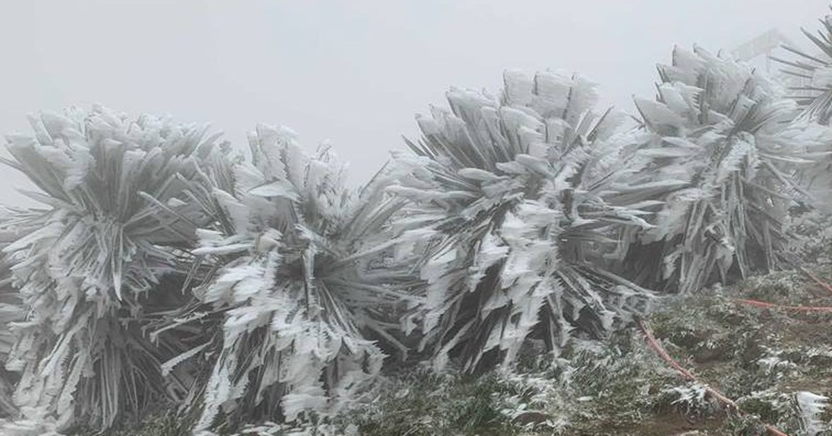 Đợt không khí lạnh mới lại về, gây mưa, rét nhiều nơi