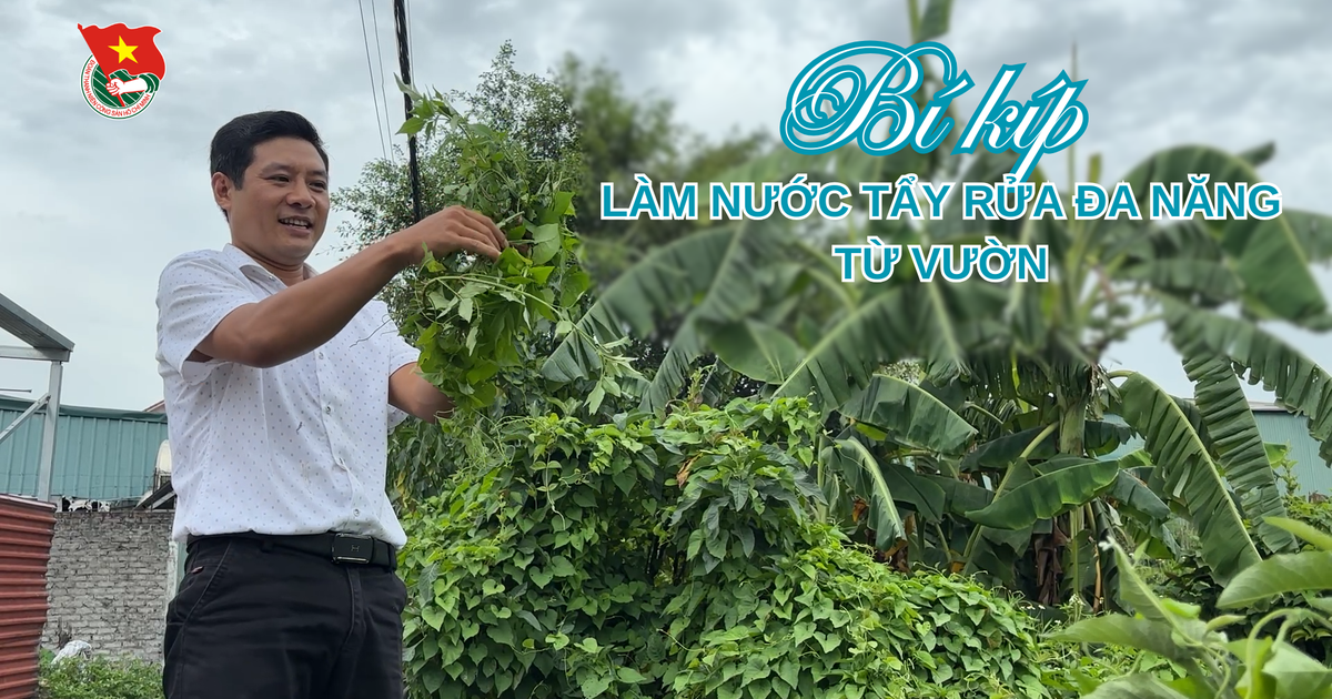 Cùng sống xanh số 127: Bí kíp làm nước tẩy rửa đa năng từ vườn