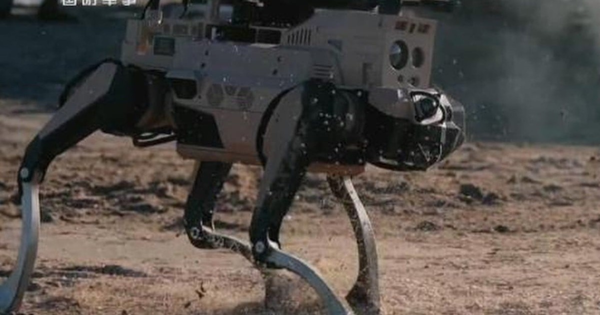 Trung Quốc mô phỏng dùng chó robot đổ bộ Đài Loan, kết quả ra sao?