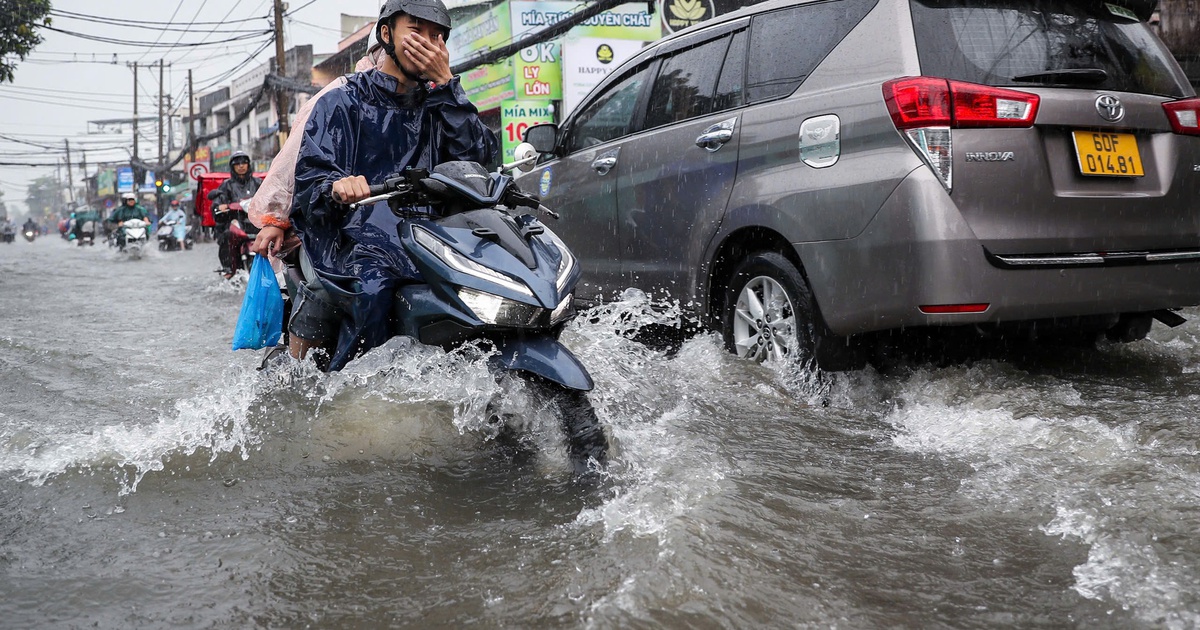 Dự b&aacute;o thời tiết TP.HCM: Li&ecirc;n tục mưa lớn, triều cường d&acirc;ng cao g&acirc;y ngập nặng