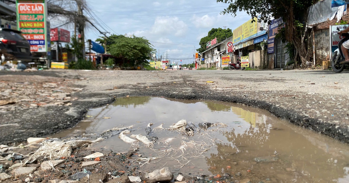 TP.HCM: Ổ g&agrave;, b&atilde;i r&aacute;c, ngập nước bủa v&acirc;y đường Kha Vạn C&acirc;n, người d&acirc;n than khổ