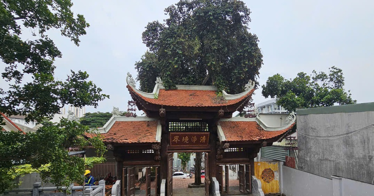 Ch&ugrave;a Linh Phong Thiền Uyển, nơi trưởng l&atilde;o h&ograve;a thượng Th&iacute;ch Tr&iacute; Tịnh khai sơn