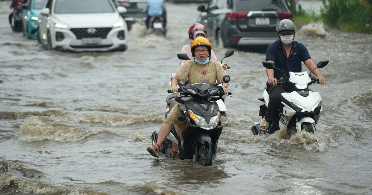 Dự b&aacute;o thời tiết TP.HCM ng&agrave;y 10.11: Triều cường ở mức b&aacute;o động, đề ph&ograve;ng mưa lớn