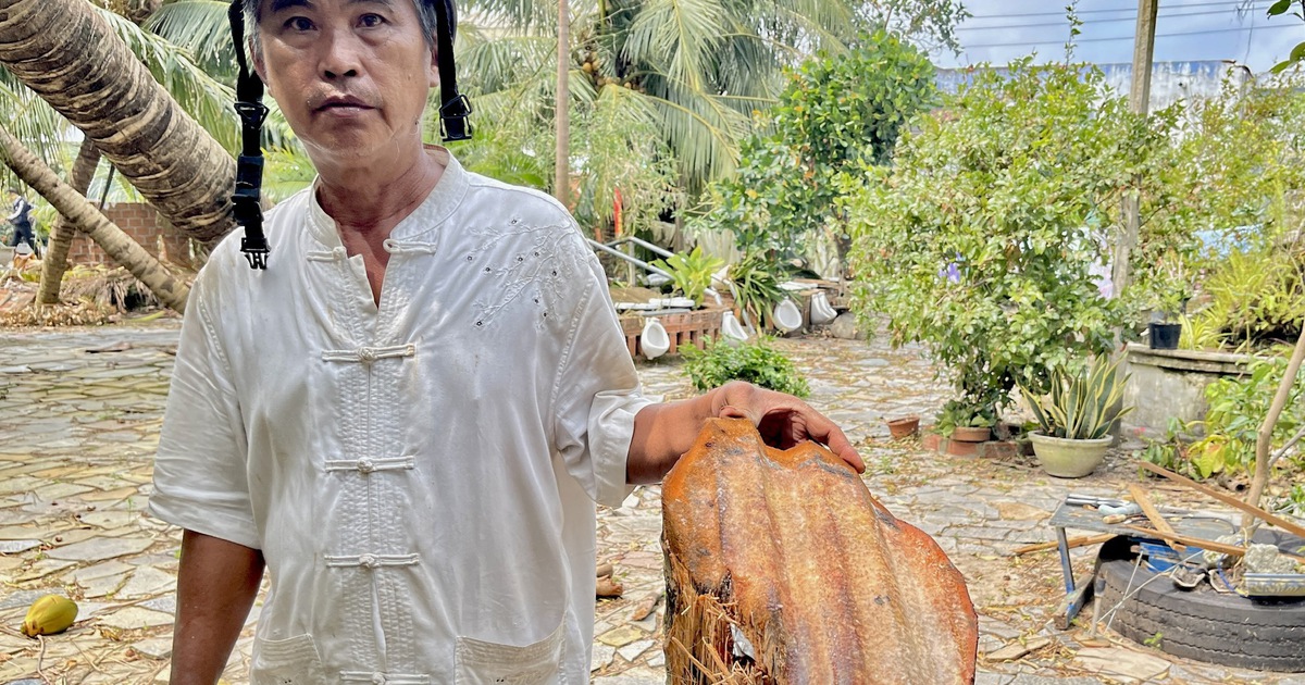 Cây dừa bị tôn cắt đứt lìa ở Đắk Lắk: Chủ nhà khẳng định là thật