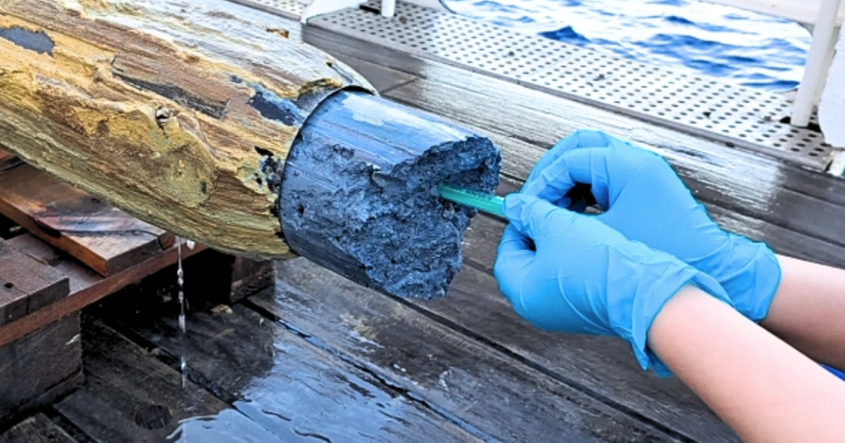 Ph&aacute;t hiện dấu vết b&iacute; ẩn của sự sống ở nơi kh&ocirc;ng ngờ đến