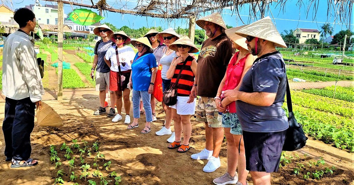 Dấu ấn Đà Nẵng trên hành trình phát triển xanh và bền vững