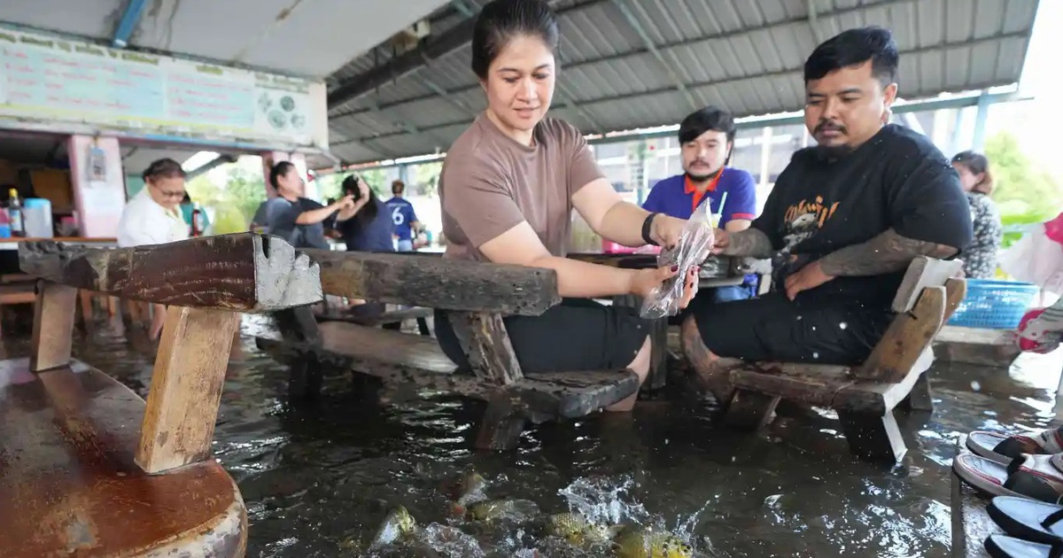 Nh&agrave; h&agrave;ng g&acirc;y b&atilde;o khi thực kh&aacute;ch dầm nước lũ ngắm c&aacute; bơi