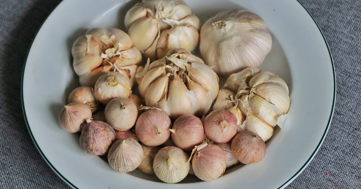 Chi 353 tỉ/tháng ăn tỏi nhập khẩu, vì sao người Việt chuộng tỏi Trung Quốc?