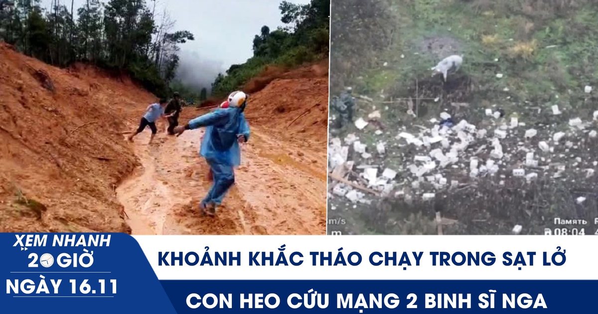 Xem nhanh 20h ngày 16.11: Khoảnh khắc tháo chạy trong sạt lở kinh hoàng ở Đà Nẵng | Con heo cứu mạng 2 binh sĩ Nga
