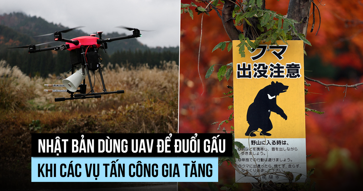 UAV sủa, bắn pháo hoa để đuổi gấu tại Nhật Bản