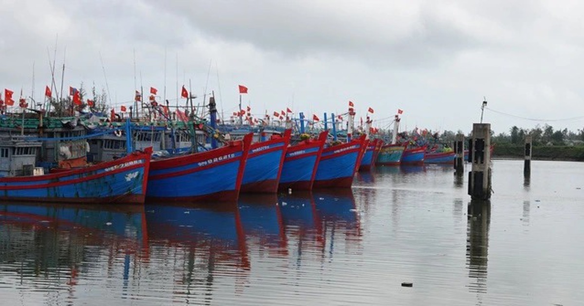 Đề xuất chủ tịch xã có quyền phạt tới 500 triệu đối với vi phạm trên biển, đảo