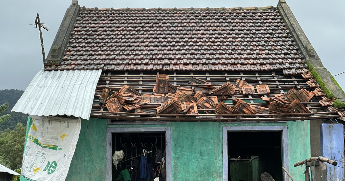 Nh&agrave; sập, tr&acirc;u b&ograve; treo... tr&ecirc;n c&acirc;y: Người d&acirc;n T&acirc;y H&ograve;a g&aacute;nh nỗi lo chồng chất