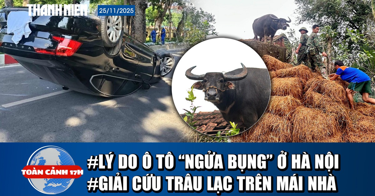 Toàn cảnh 17h: Bất ngờ lý do ô tô ‘ngửa bụng’ ở Hà Nội | Bộ đội vất vả cứu trâu đứng trên mái nhà