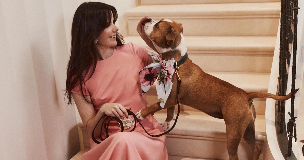 Chọn gam màu chữa lành - 'chiêu' mới để giảm căng thẳng