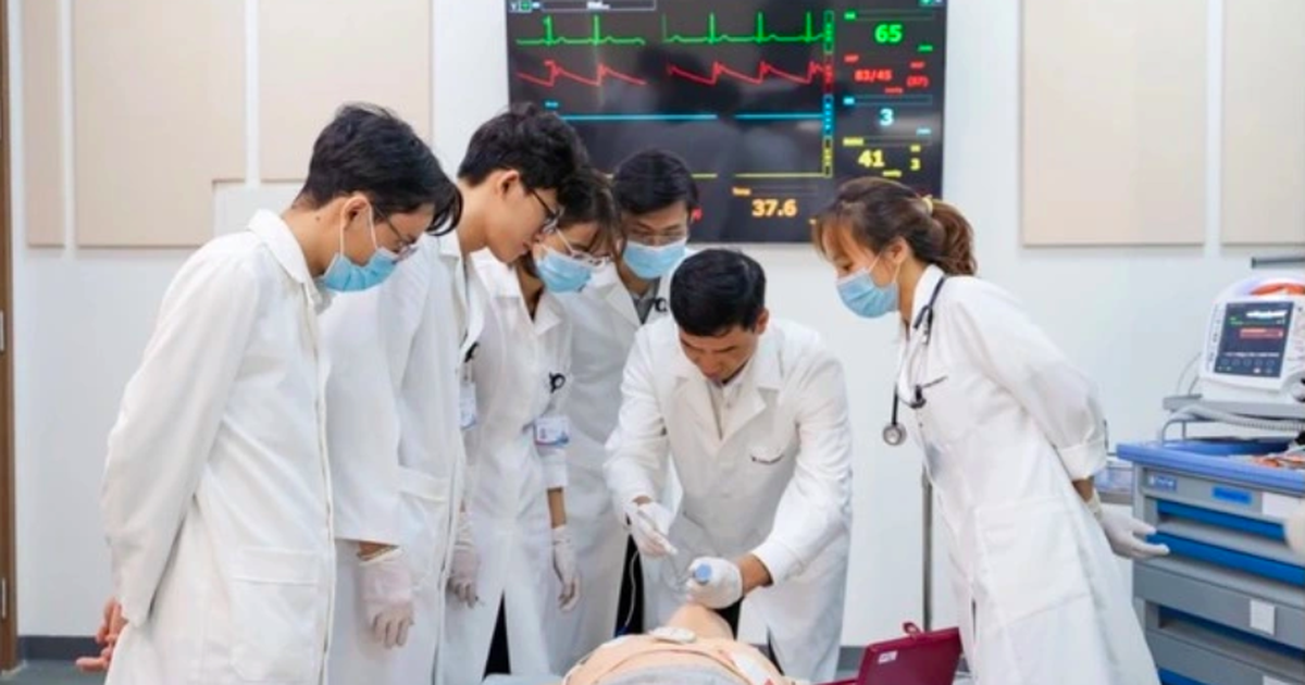 Cả nước có bao nhiều trường đào tạo bác sĩ và luật sư?