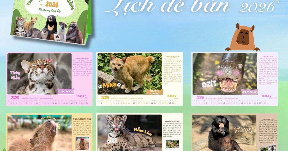 Thảo Cầm Viên Sài Gòn dành toàn bộ lợi nhuận bộ lịch 2026 ủng hộ miền Trung