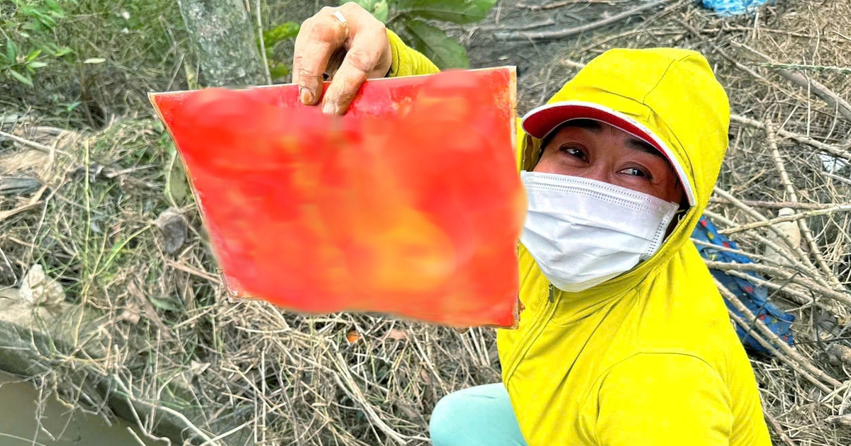 Sổ đỏ vùi trong bùn: Người phụ nữ Hòa Thịnh mang đi rửa mà... cười ra nước mắt