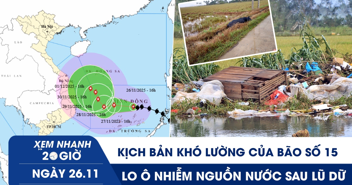 Xem nhanh 20h ngày 26.11: Kịch bản khó lường của bão số 15 | Cánh đồng bốc mùi sau lũ dữ, dân lo ô nhiễm nước