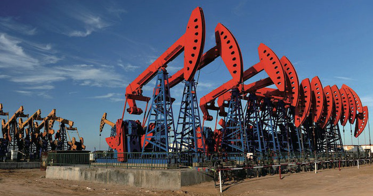 Giá xăng dầu hôm nay 29.11.2025: Thế giới giảm, xăng trong nước dự báo tăng