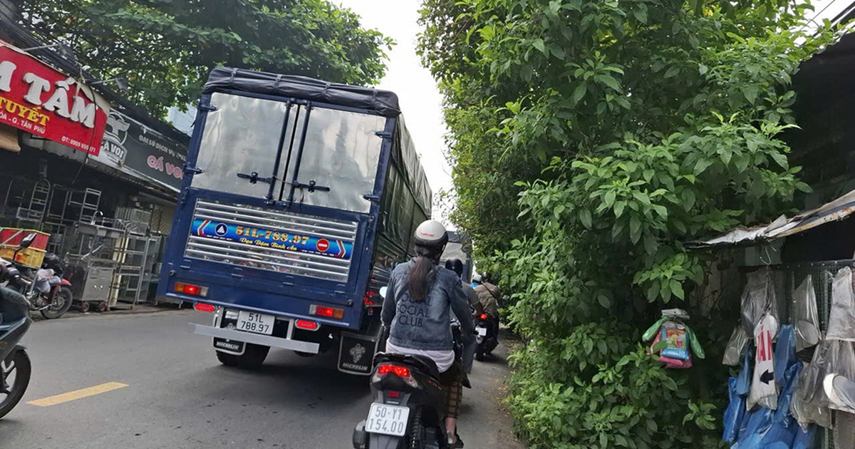 Hàng cây kiểng sà ngọn ra đường