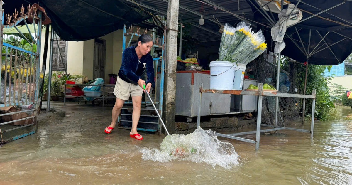Lũ l&ecirc;n xuống thất thường, người Quảng Ng&atilde;i ngao ng&aacute;n dọn b&ugrave;n 3 lần trong 1 tuần