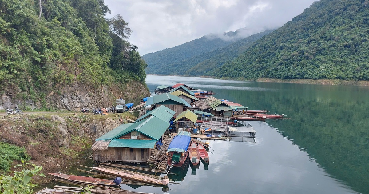 C&aacute; chết v&igrave; mắc cạn tr&ecirc;n hồ thủy điện