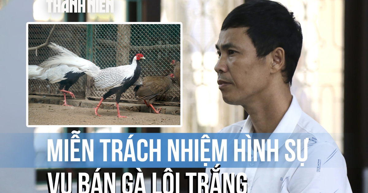 Cần phải rút kinh nghiệm vụ phạt người nuôi gà lôi trắng 6 năm tù