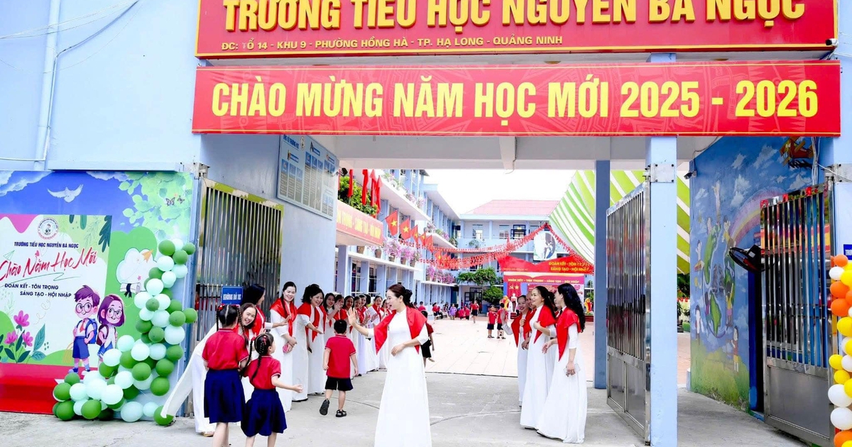 Bộ GD-ĐT y&ecirc;u cầu Quảng Ninh tạm dừng s&aacute;p nhập trường học