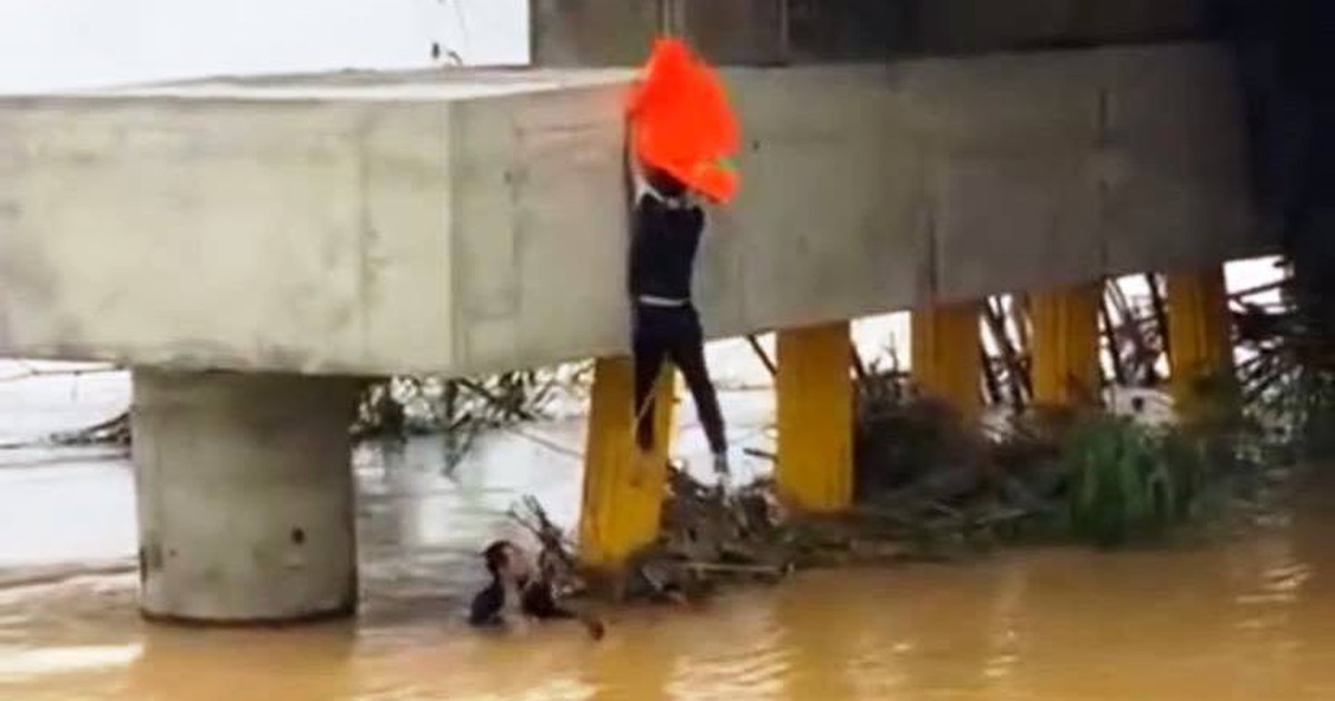 Khoảnh khắc 'người h&ugrave;ng' &aacute;o đen lao xuống d&ograve;ng nước lũ cứu người ở Đ&agrave; Nẵng