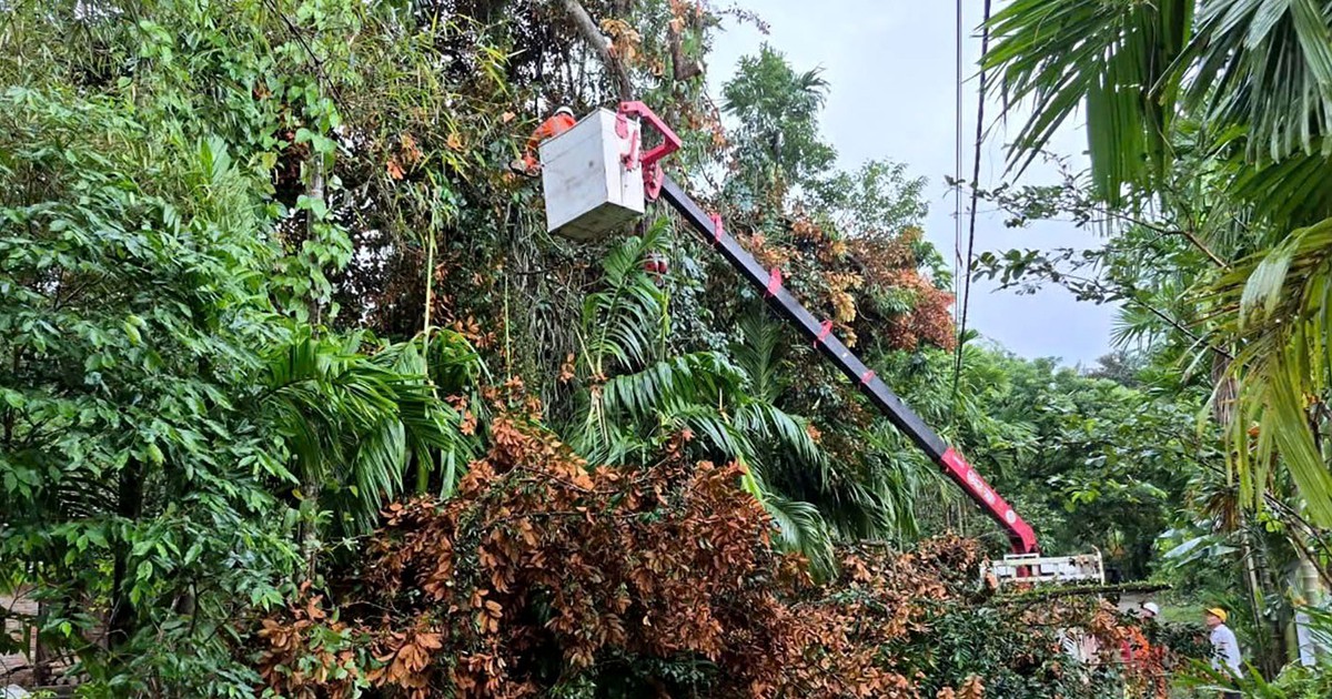 PC Đà Nẵng triển khai đồng bộ các biện pháp ứng phó bão số 13