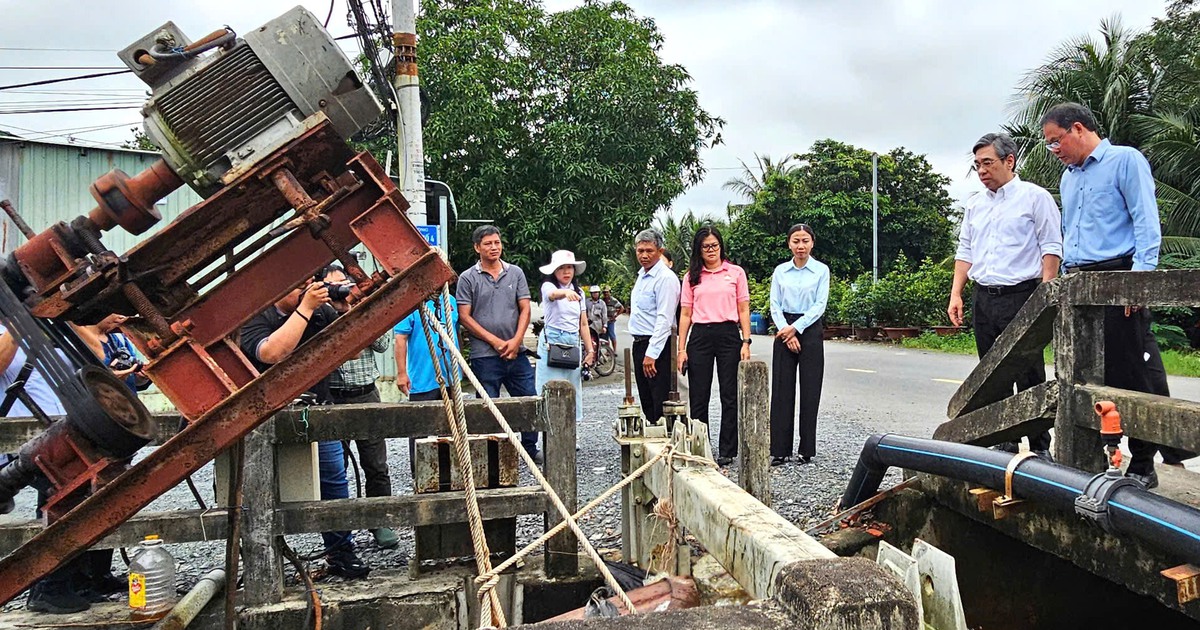 TP.HCM: Ông Nguyễn Phước Lộc thăm nông dân làng mai Bình Lợi ảnh hưởng vì ngập nước