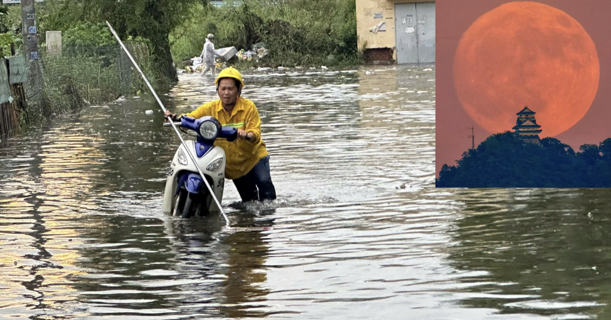 Triều cường ở TP.HCM dự b&aacute;o vượt lịch sử sau si&ecirc;u trăng lớn nhất 2025, v&igrave; sao?