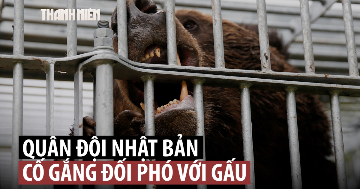 Quân đội Nhật Bản ra tay trấn áp gấu sau làn sóng tấn công kỷ lục