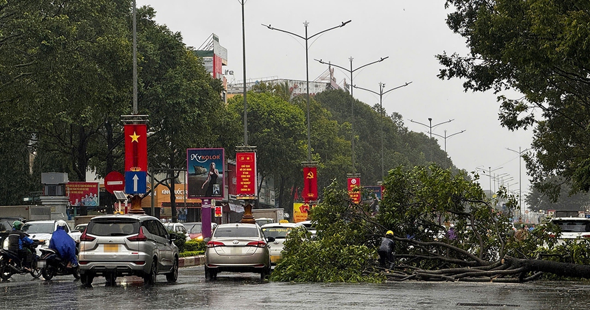 Tin tức đặc biệt tr&ecirc;n b&aacute;o in Thanh Ni&ecirc;n 7.11.2025