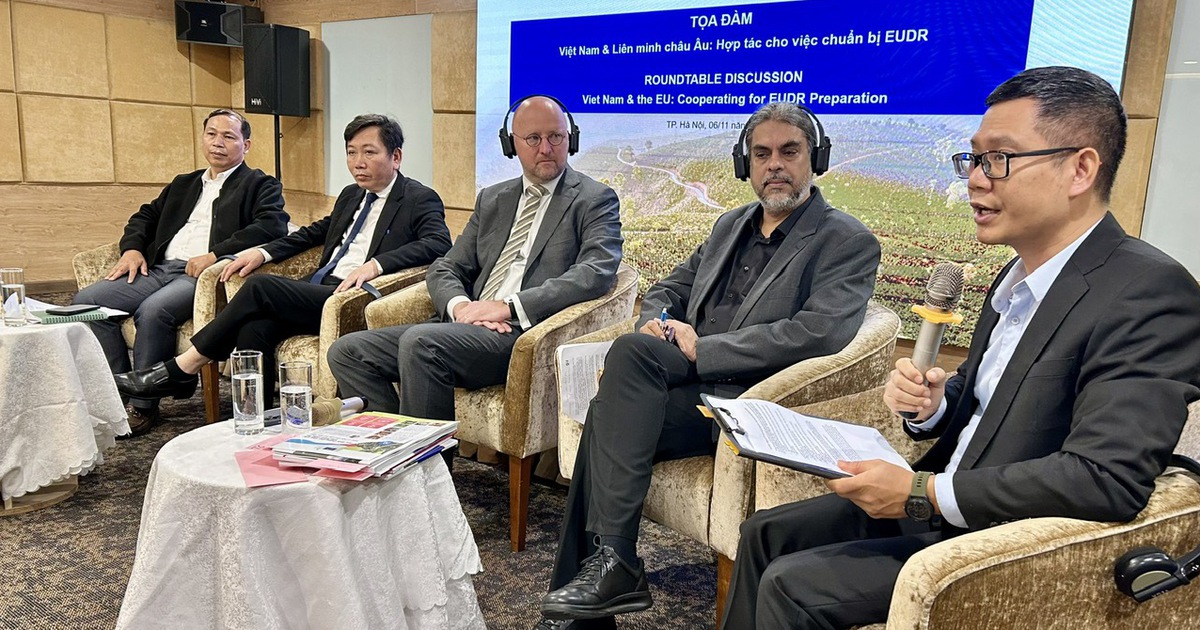 Đếm ngược thời gian EU áp dụng quy định bảo vệ rừng, Việt Nam chuẩn bị đến đâu?