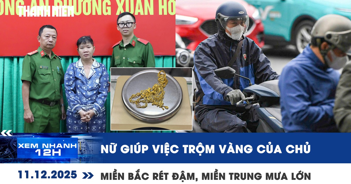 Xem nhanh 12h: Nữ giúp việc trộm vàng của chủ | Miền Bắc rét đậm, miền Trung mưa lớn diện rộng