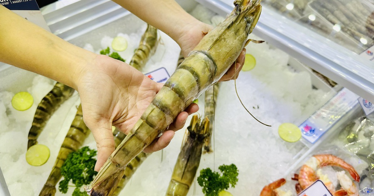 Trung Quốc tăng gom hàng tết, xuất khẩu tôm Việt Nam cao kỷ lục